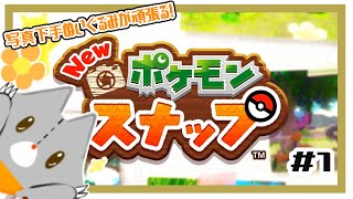【Ｎｅｗポケモンスナップ】写真下手くそぬいぐるみが行くポケモンスナップ！＃１