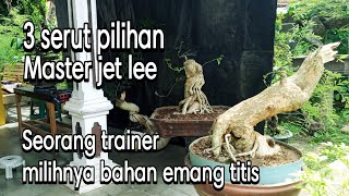 3 BAHAN SERUT PILIHAN MASTER JET LEE‼BORONG DI TEMPAT MAS EKO BONSAI