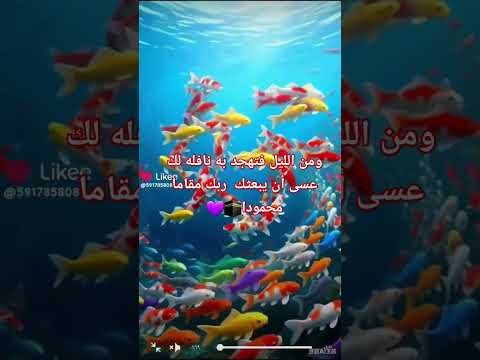 وقت المغفرة دعاء في دقيقة وقل ربي أدخلني مدخل صدق واخرجني مخرج صدق