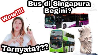 NAIK BUS DI NEGERI SINGA ??? WHY NOT t?! || TRAVELING KE SINGAPORE || CANGGIH KALI🤩