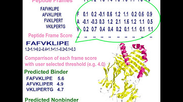 Bioinformatics practical introduction