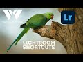 Become a Lightroom pro with these shortcuts you need to know