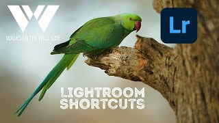 Become a Lightroom pro with these shortcuts you need to know