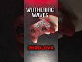 Wuthering Waves BEITONG KP40D Phrolova