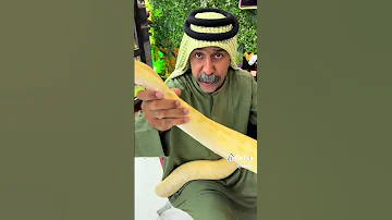 شنو اليوم مشاهير تيك توك الشعب الصيني ماله ستوريات اكسبلور لايك متابعه 