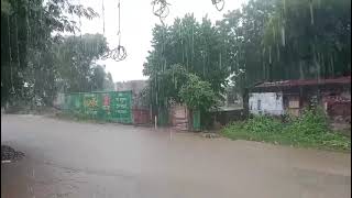 सेवाडी में बारिश, विडिओ मनीष मेवाडा