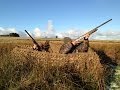 Goose hunting scotland best of shots Compilation  !!