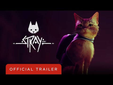 Stray - Reveal Trailer | PS5 Reveal Event