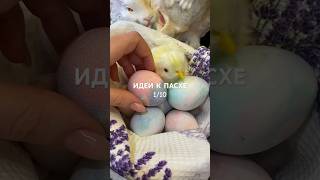 ЯЙЦА СЕВЕРНОЕ СИЯНИЕ 😍 нужны пена для бритья, коробочка и жидкие красители. Ждём 15 минут и вуаля!