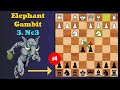 Tricky Elephant Gambit - 4 (3.Nc3)