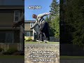 Day 8 of doing a different trick until I reach 500 subs