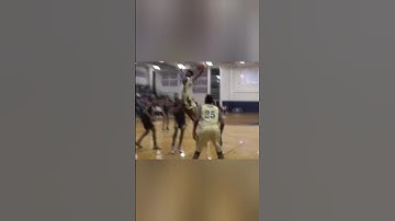 "Jason Williams funny story about Anthony Edwards" 🐜