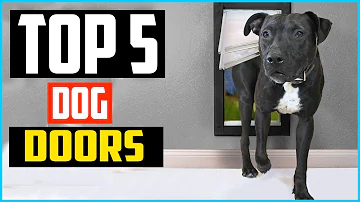 Can other animals get in a doggie door?