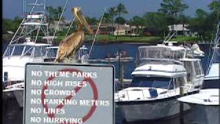 Visit Stuart and Discover Martin County, FL