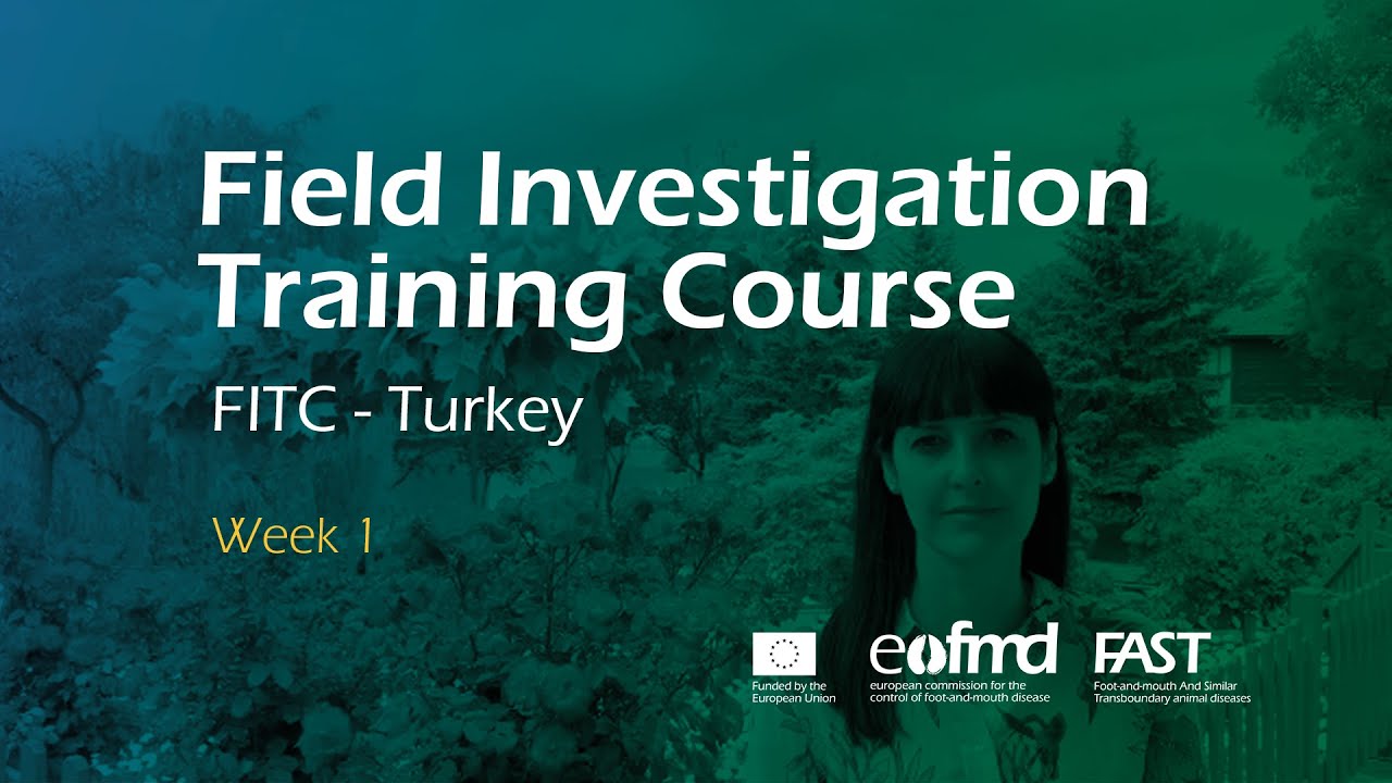Field Investigation Programme Field Investigation training course - Turkish. First week. - YouTube