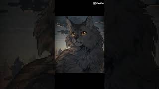Graypaw Edit
