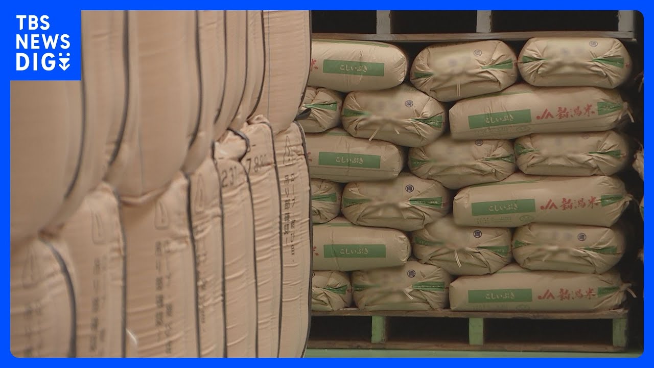 初回の備蓄米の入札 約14万2000トンのうち9割超をJA全農が落札｜TBS