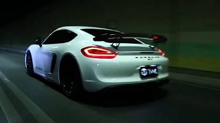 Porsche 981 Cayman Racing Twl Carbon Aero Kits