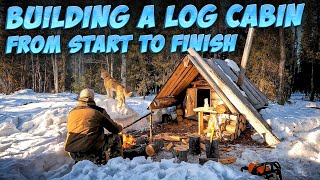 BUILDING A TINY OFF GRID LOG CABIN. LIFE IN IT/TIME LAPSE. Bushcraft