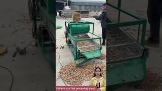 Seed Screening Machine for Peanut Sunflower Rice and Mustard Seed#seedcleaning #sieve