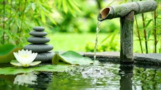 Peaceful Bamboo Fountain — Soft Water Trickle, Warm Piano Music and Yoga Ambience for Inner Peace screenshot 4
