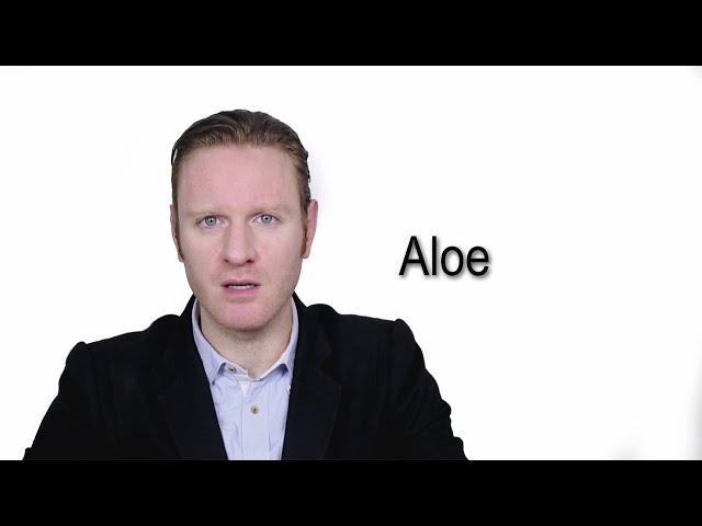 www.aloe Aloe Vera Plant for Sale - Delivered to Your Door main image 1