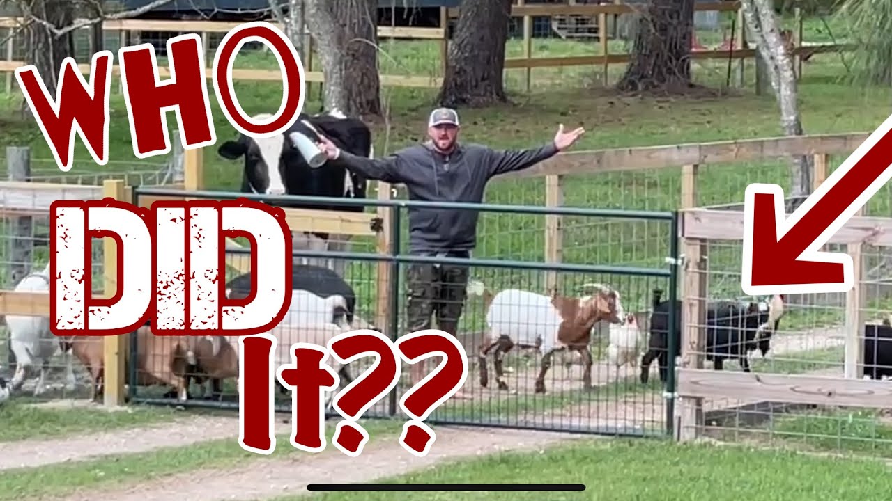 Someone’s At The Door