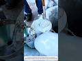 Technique for taking well water in frozen mountains using a water ladle #shorts