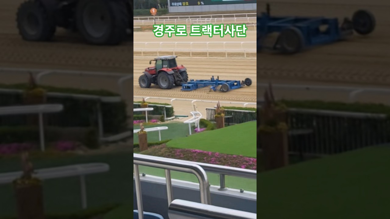 경마장 숨은일꾼들#경마#말 #달려라말 #shorts #미운사랑