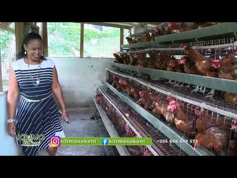 MIFUGO INAKUFA KWA SABABU YA UJENZI WA MABANDA HAYA