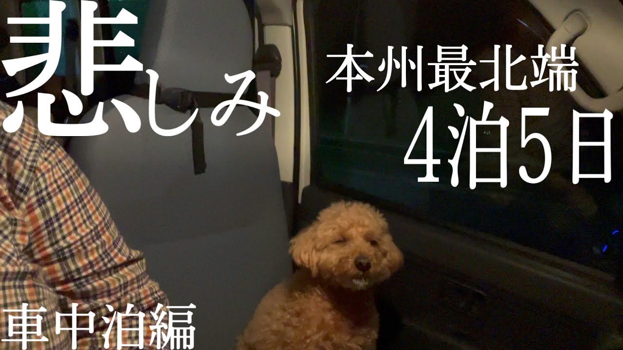【車中泊女】軽バンで本州最北端へ逃亡【大間崎テントサイト】ハイゼットカーゴ