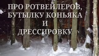 РОТВЕЙЛЕР ИЩЕТ БУТЫЛКУ КОНЬЯКА.Дрессировка и воспитание собаки РОТВЕЙЛЕР ИЩЕТ БУТЫЛКУ КОНЬЯКА.Дрессировка и воспитание собаки