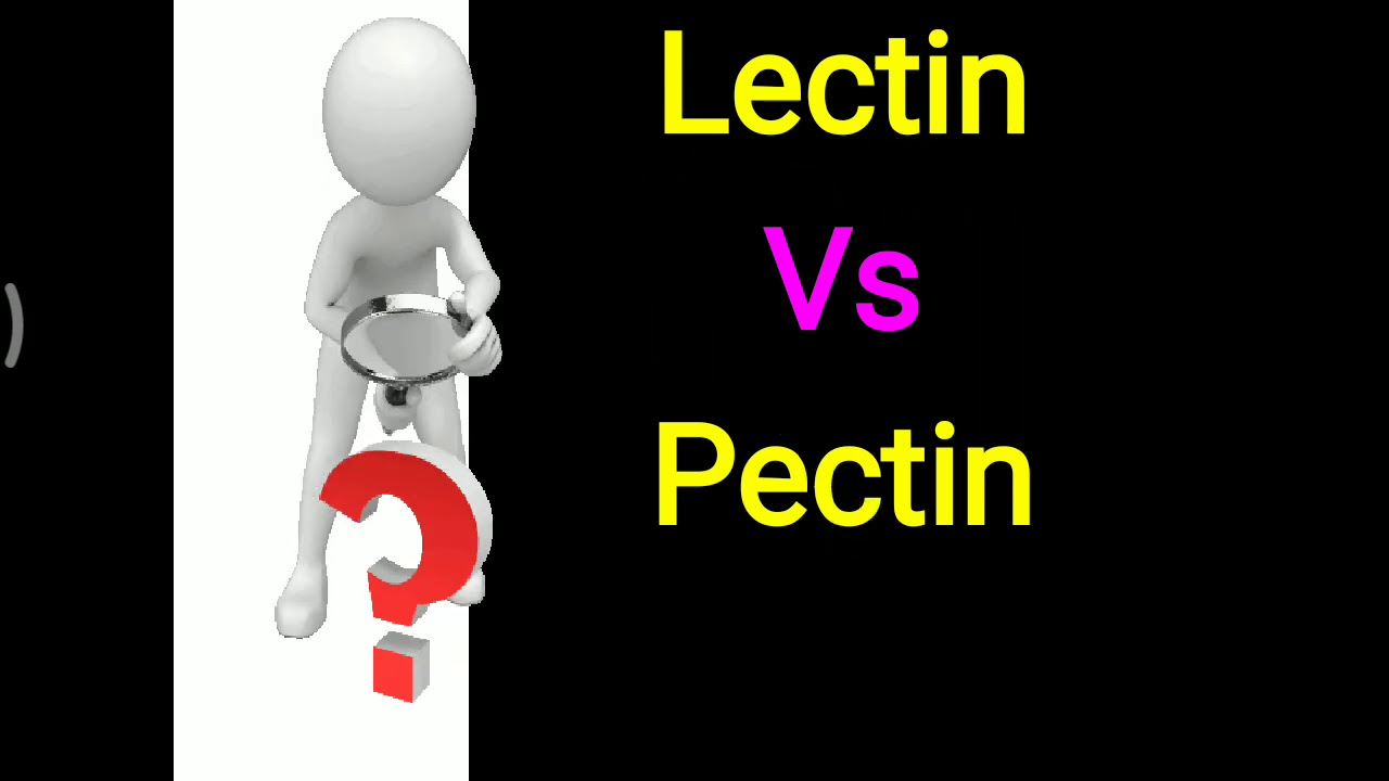 Lectin vs Pectin YouTube