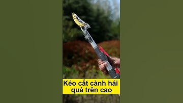 Kéo cắt cành cây, hái quả trên cao đa năng