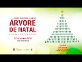 MAIOR ÁRVORE DE NATAL HUMANA DO ALENTEJO
