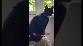 Народная медицина опять подвела