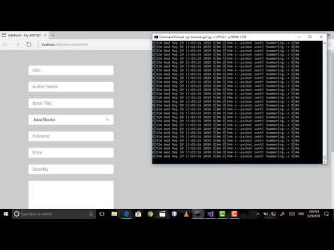 DDOS attack on an architectural pattern using python hammer scripting