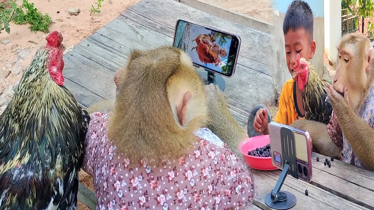 SokYaa Share And Like To AI Video Until Get Gift From Abii