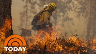 California’s Oak Fire Is So Large It Can Now Be Seen From Space