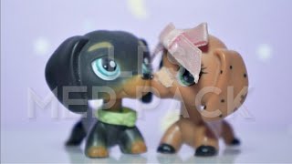 LPS Mep Pack For @tinycrybabylps And Me