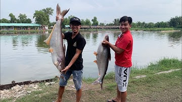 MỘT NGÀY TEST MỒI XỆ NÁCH TẠI HỒ HOÀNG HẢI NHÀ BÈ