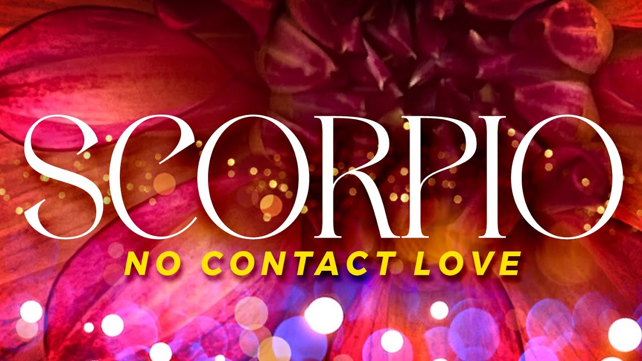 SCORPIO No Contact - 