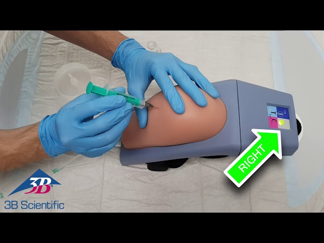 Intramuscular Injection Simulator - Upper Arm, 1009840 [P55/1], Injections and Punctures (Video)