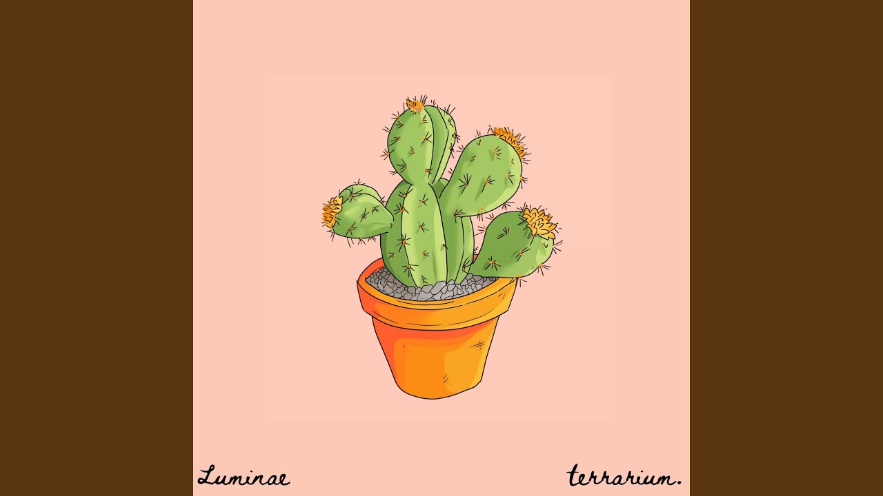 Watch succulent on YouTube Watch succulent on YouTube