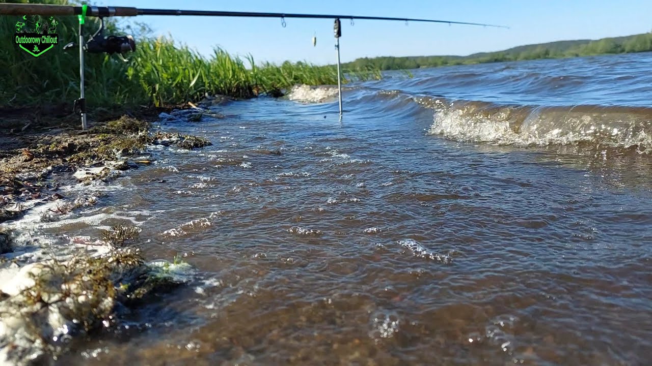 Czy dzisiaj będą brały ryby 5