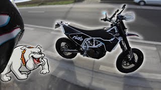 MOTOVLOG  Présentation, Chien Féroce et Crevaison