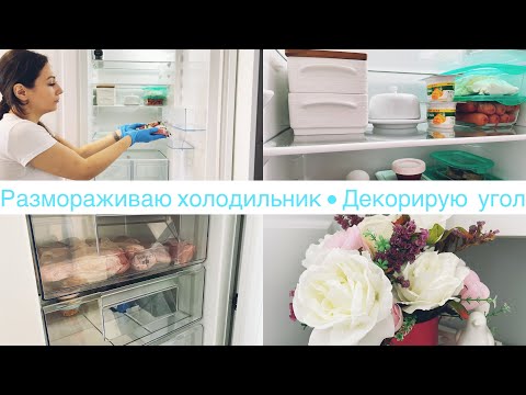 Зачем размораживать холодильник❄️• Почему капельная система💧• Мою холодильник• Новый декор• Диана Р