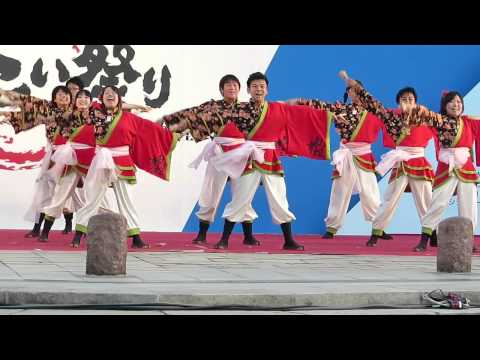 乱舞姫（光が丘よさこい祭り2013 2日目・"笑乱漫")（受賞チーム演舞)