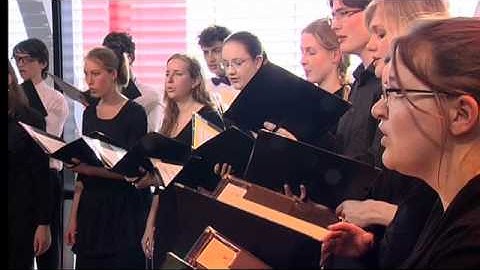 Nederlands Studenten Kamerkoor - Frank Martin/from: Songs of Ariel, part 2