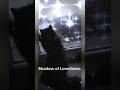 Shadow of Loneliness @ShadowEchoMusic #catintheshadow #darkfemalerock #gothicmusic #shadowecho